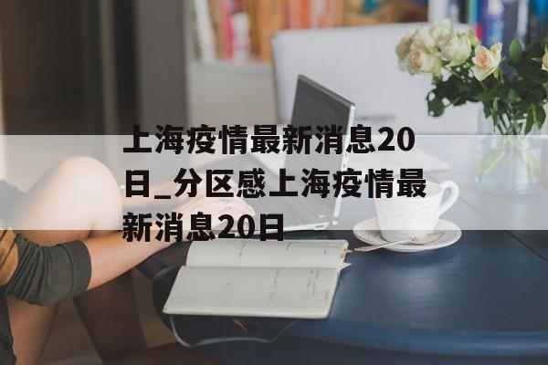 上海疫情最新消息20日_分区感上海疫情最新消息20日