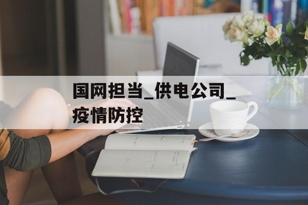 国网担当_供电公司_疫情防控